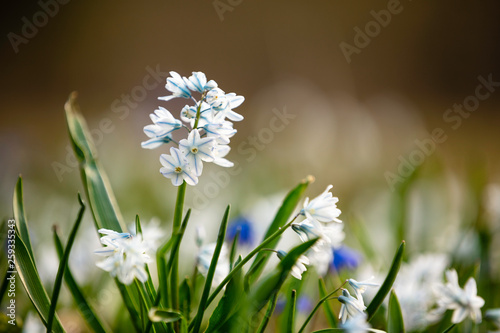 FRühling Ostern deutschland 2019