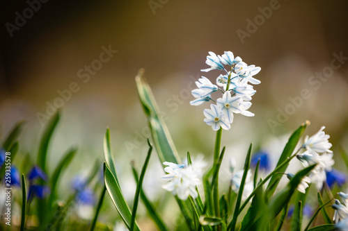 FRühling Ostern deutschland 5