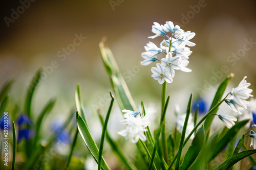 FRühling Ostern deutschland 9