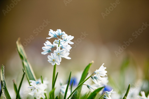 Frühling Deutschland 3