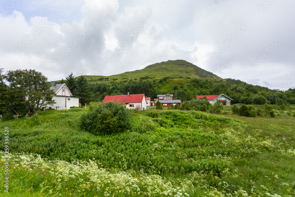 Beautiful scandinavian landscape with meadows, mountains and village. Lofoten islands, Norway.