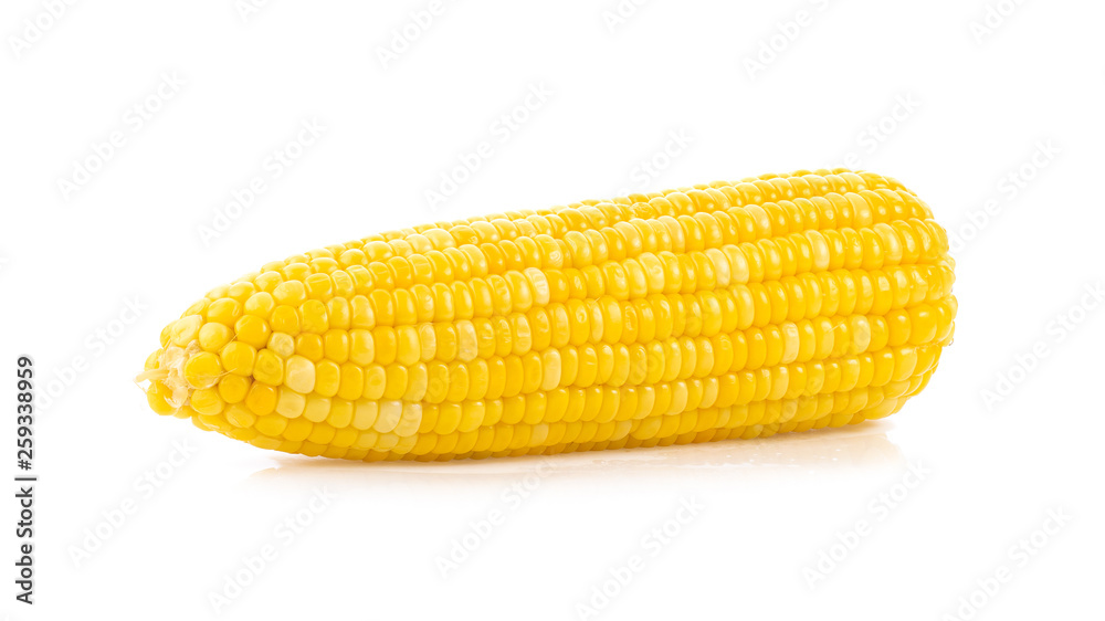 corn on white background. full depth of field corn on white background. full depth of field