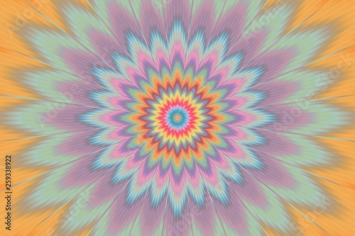 rainbow floral pattern background flower. lights boho.