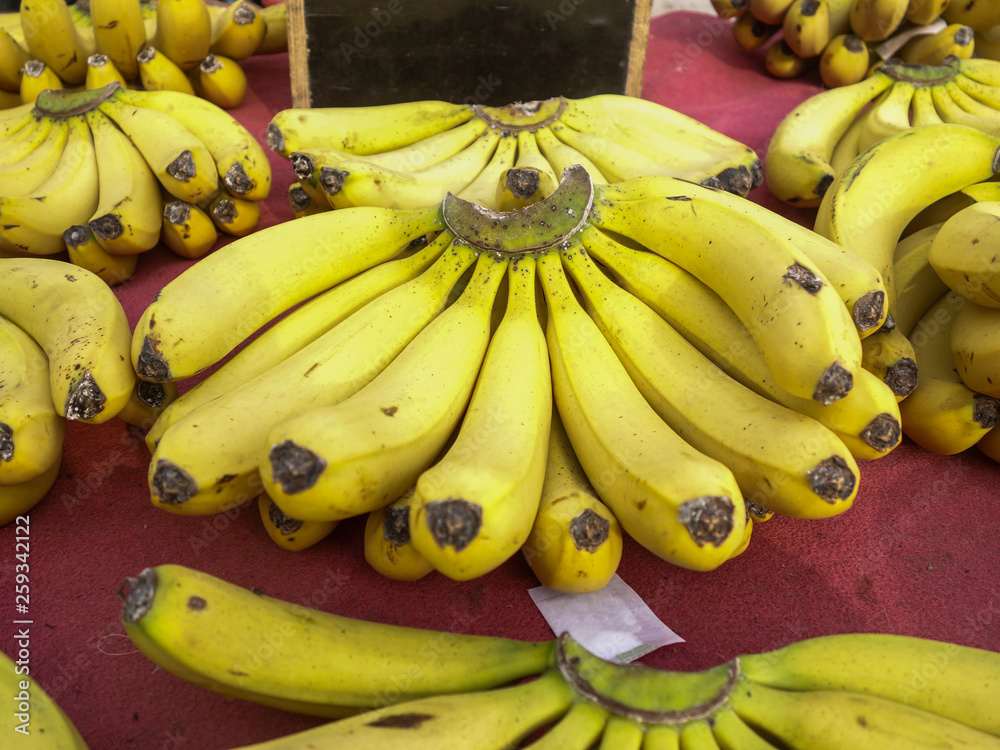 Banana feature, a healthy and nutritious fruit.