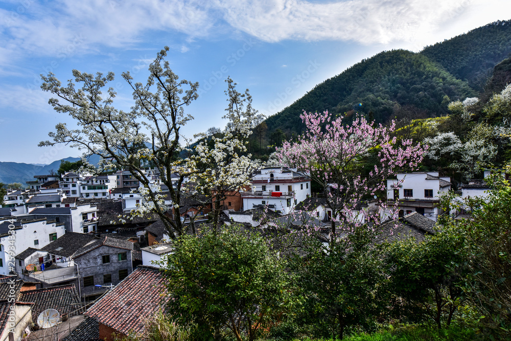 The beautiful mountain village with flowers in full bloom was photographed in Jiangling, Wuyuan County, Shangrao City, Jiangxi Province.