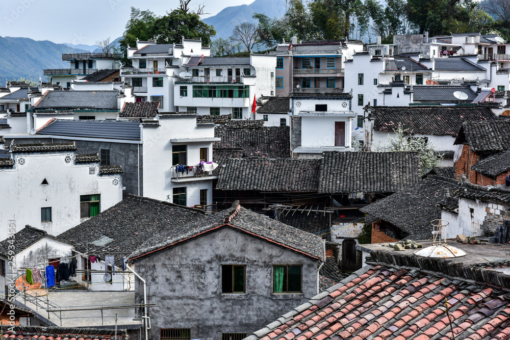 Fototapeta premium The beautiful mountain village with flowers in full bloom was photographed in Jiangling, Wuyuan County, Shangrao City, Jiangxi Province.