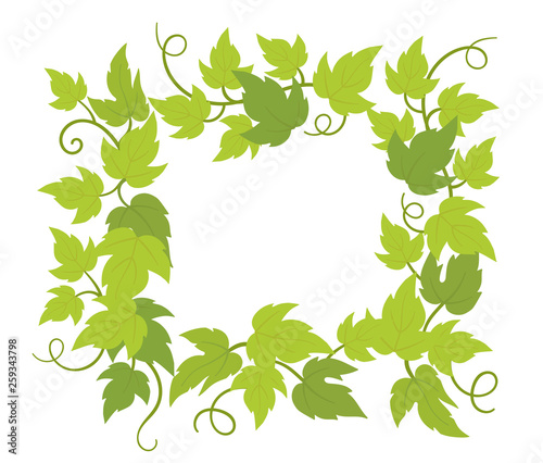 Climbing plant frame square. Border frame. Copy space for text. Curls green leaves. Vector flat Illustration.