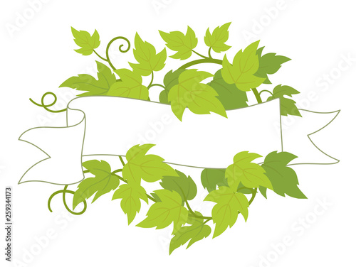 Hop plant frame flag label. Badge border frame decor. Copy space for text name or logo. Hop green leaves. Vector flat Illustration for pub bar or beer advertising.
