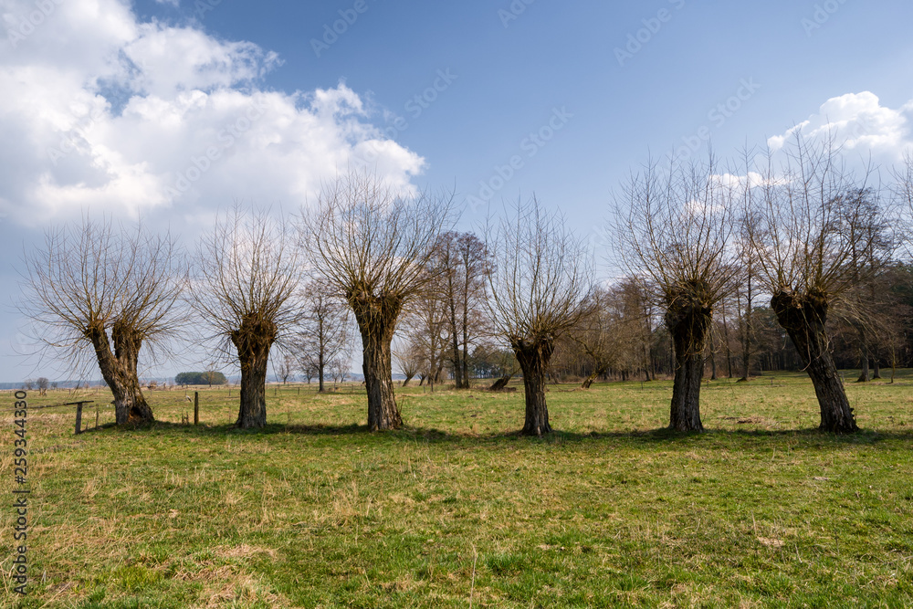 Krajobraz wiejski Podlasia, Wiosna na Podlasiu Krajobraz wiejski Podlasia, Wiosna na Podlasiu