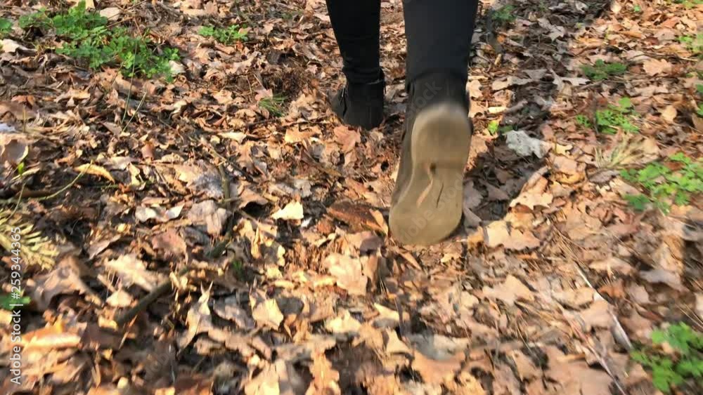 The Girl Walks In Autumn Forest in black shoes The Girl Walks In Autumn Forest in black shoes