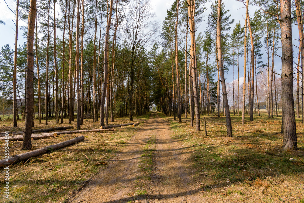 Krajobraz wiejski Podlasia, Wiosna na Podlasiu Krajobraz wiejski Podlasia, Wiosna na Podlasiu