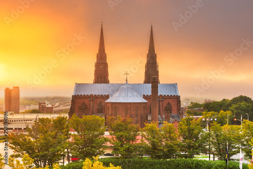Принти на полотні Cathedral of the Immaculate Conception