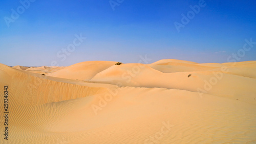 sands of desert 