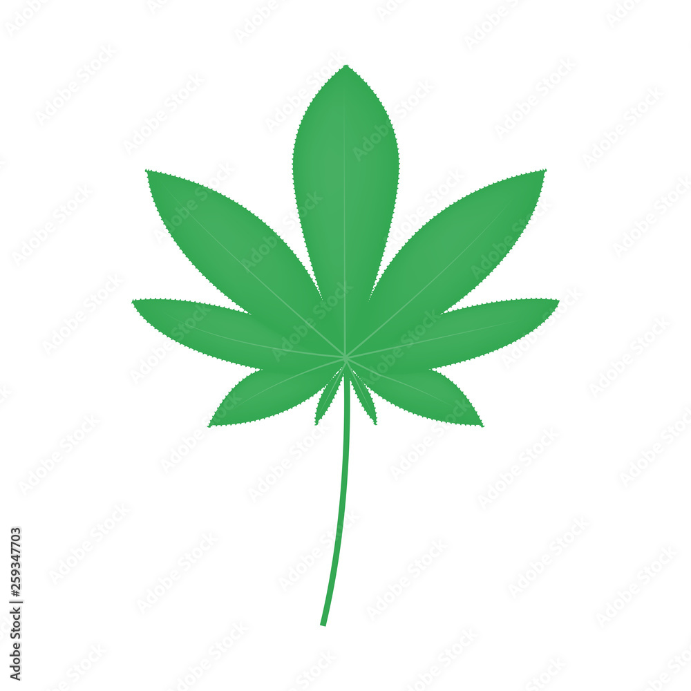 Green cannabis leaf flat icon, plant vector illustrator