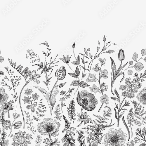 Spring magic. Seamless border. Vector vintage illustration. Black and white photo