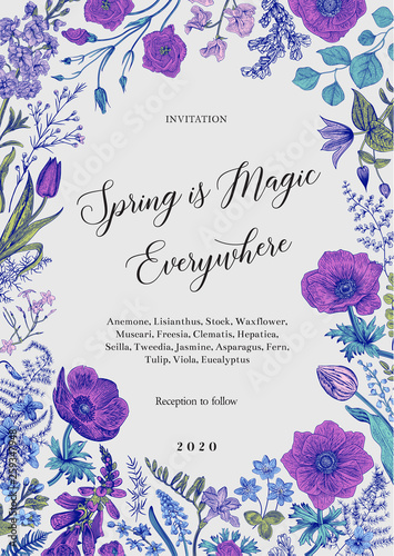 Spring magic. Invitation. Spring flowers with a blue contour. Vector vintage illustration.