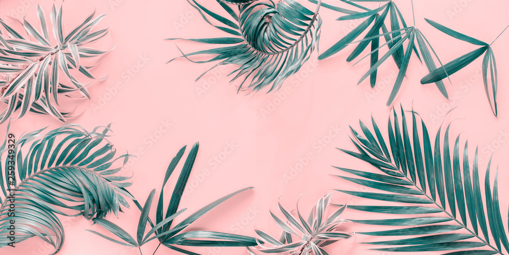 Variations Tropical Palm Leaves Flat Lay Top View