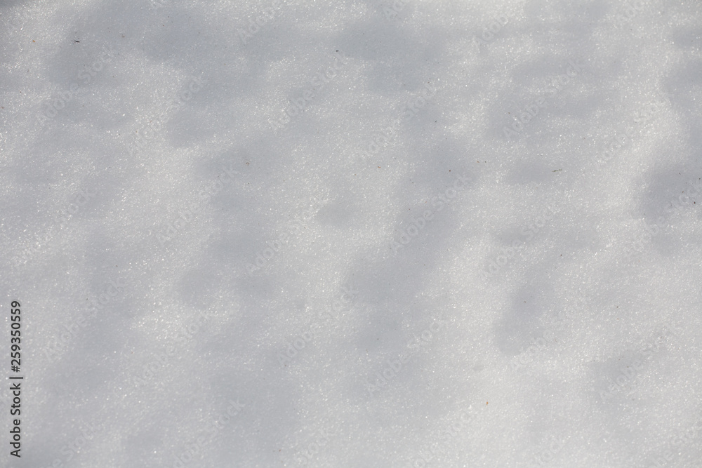 Obraz premium white snow texture closeup macro pattern