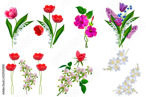 Bright colorful spring flowers isolated on white background.