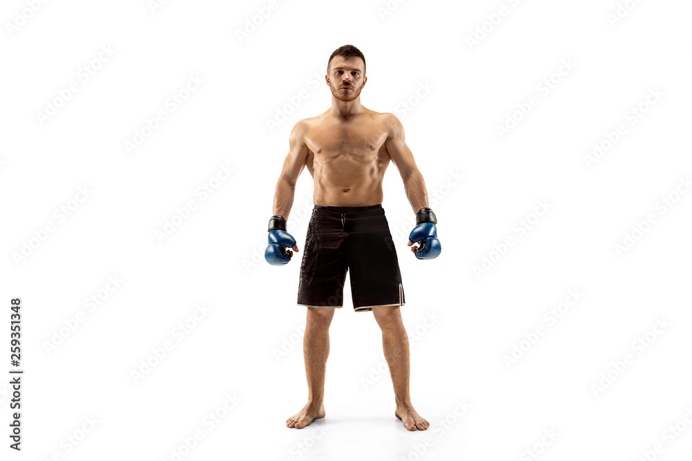 Professional boxer boxing isolated on white studio background Professional boxer boxing isolated on white studio background