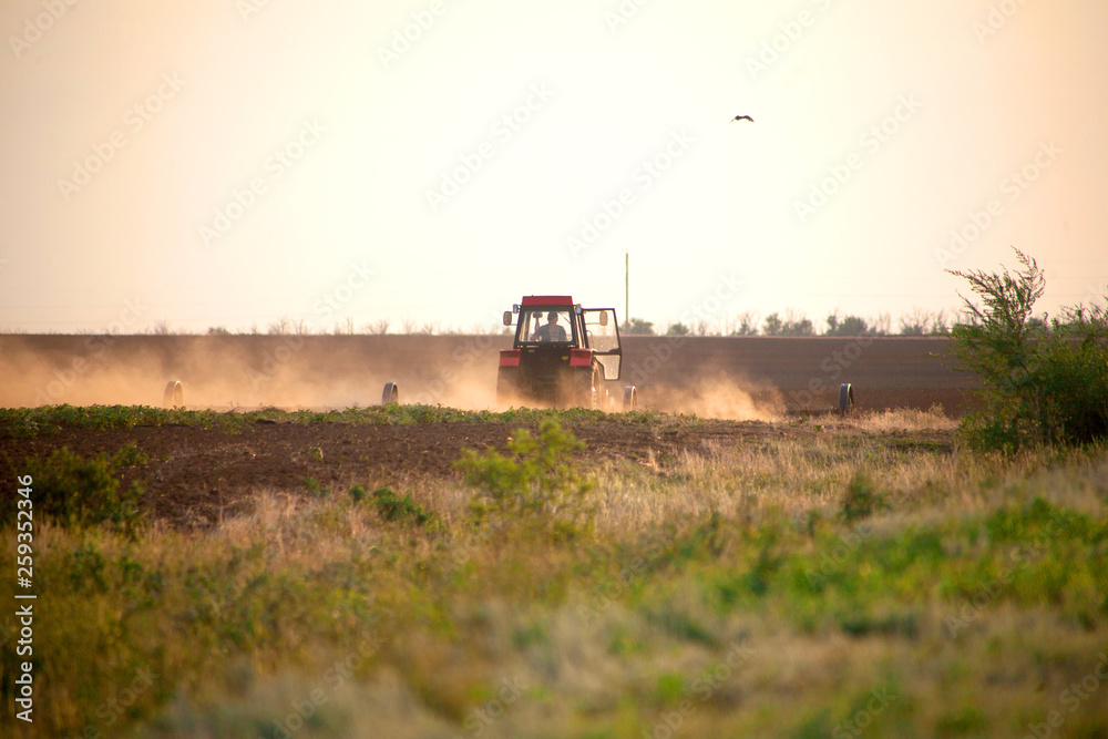 Fototapeta premium Sowing and plowing action in the spring season