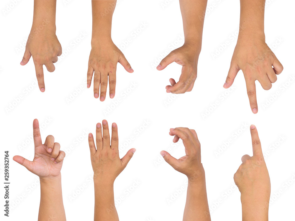 set of hands isolated on white background