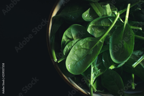 Baby spinach in the bowl on the dark background