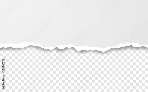 Horizontal torn paper edge. Ripped squared horizontal white paper strips. Vector illustration