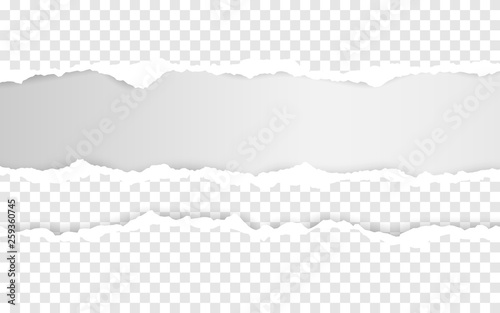 Horizontal torn paper edge. Ripped squared horizontal white paper strips. Vector illustration