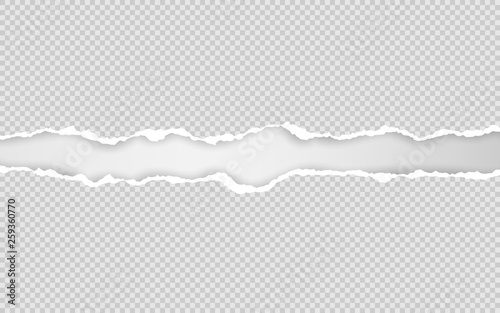 Horizontal torn paper edge. Ripped squared horizontal white paper strips. Vector illustration photo