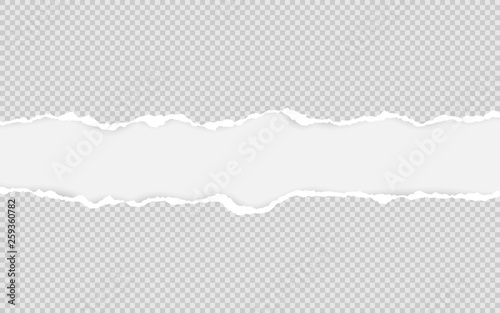 Horizontal torn paper edge. Ripped squared horizontal white paper strips. Vector illustration