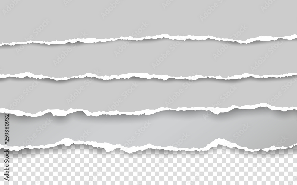 Obraz premium Horizontal torn paper edge. Ripped squared horizontal white paper strips. Vector illustration