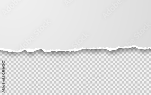 Horizontal torn paper edge. Ripped squared horizontal white paper strips. Vector illustration