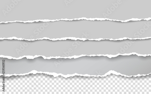 Horizontal torn paper edge. Ripped squared horizontal white paper strips. Vector illustration