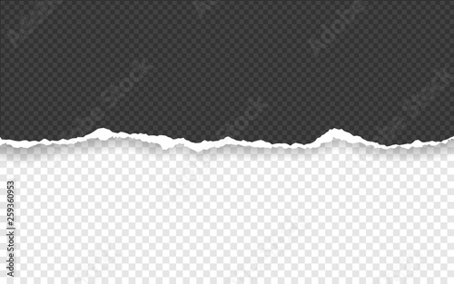 Horizontal torn paper edge. Ripped squared horizontal paper strips. Vector illustration