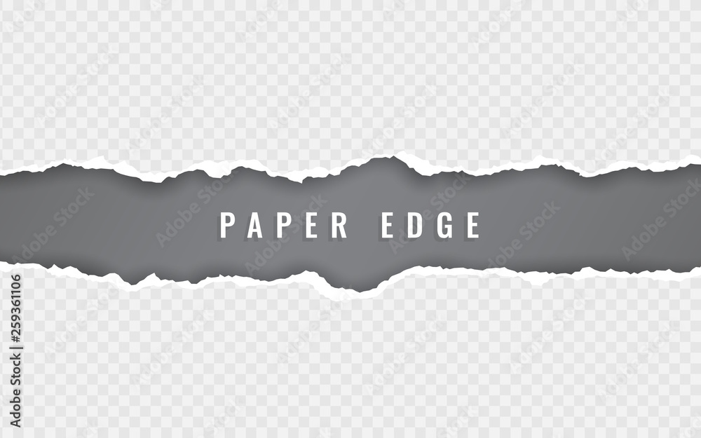 Torn paper edge. Torn paper stripes. Ripped squared horizontal paper strips. Vector illustration