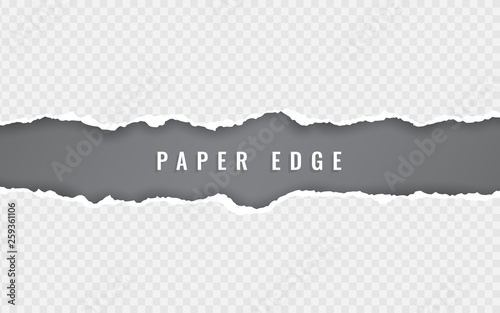 Torn paper edge. Torn paper stripes. Ripped squared horizontal paper strips. Vector illustration
