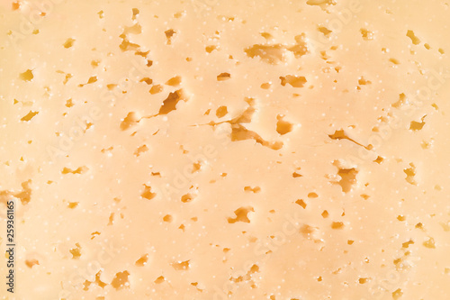 Background of fresh yellow Swiss cheese with holes. Cheese texture macro.