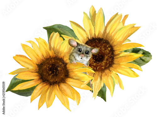Watercolor cute mouse in yellow sunflowers. Hand drawn watercolor