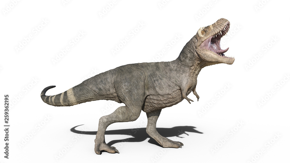 Premium Vector  Tyrannosaurus rex vector illustration. t-rex dinosaur  isolated on white background
