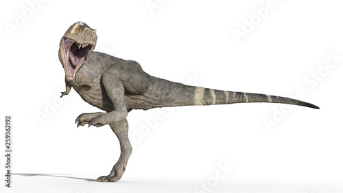 T-Rex Dinosaur, Tyrannosaurus Rex reptile stomping, prehistoric Jurassic animal isolated on white background, 3D illustration © freestyle_images