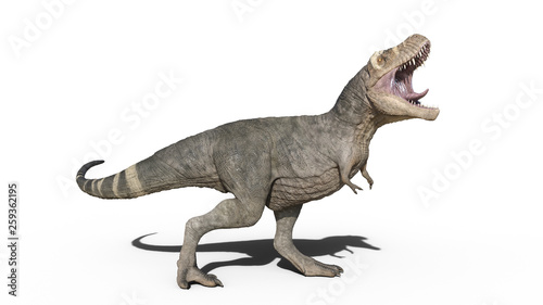 T-Rex Dinosaur, Tyrannosaurus Rex reptile roaring, prehistoric Jurassic animal isolated on white background, 3D illustration © freestyle_images