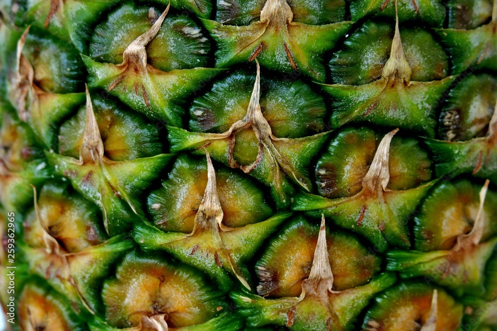Pineapple peel, ripe, juicy and healthy fruit close-up Pineapple peel, ripe, juicy and healthy fruit close-up
