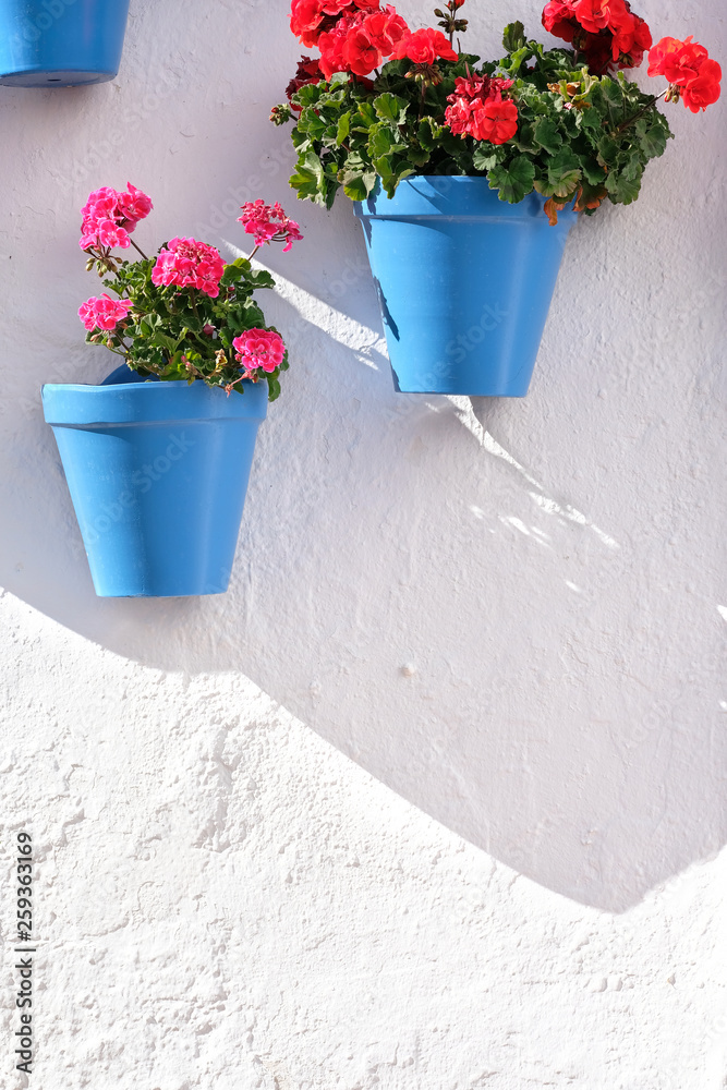Flower pots decorating on white wall in the old town of Marbella Flower pots decorating on white wall in the old town of Marbella
