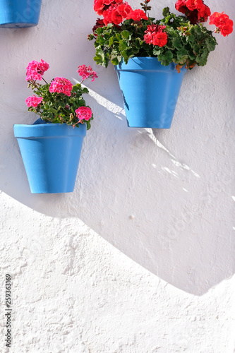 Flower pots decorating on white wall in the old town of Marbella © jc_studio