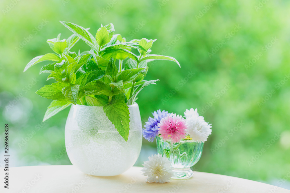 花瓶に入ったアップルミントの葉とヤグルマギクの花 Stock Photo Adobe Stock