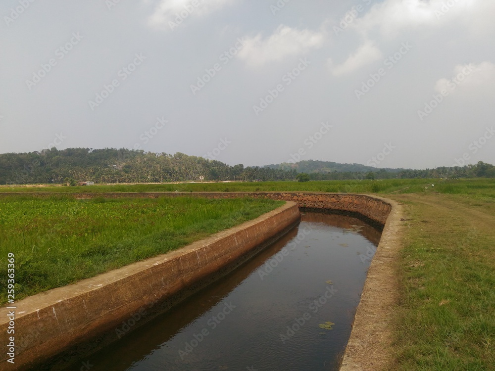 canal between the paddy farms 