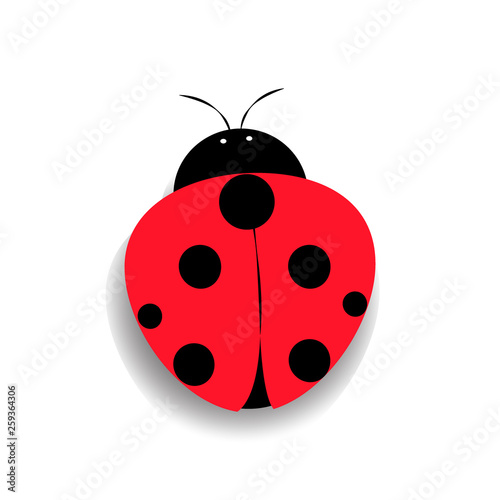 Ladybug icon in flat design. Vector illustration. Red ladybug isolated on white background