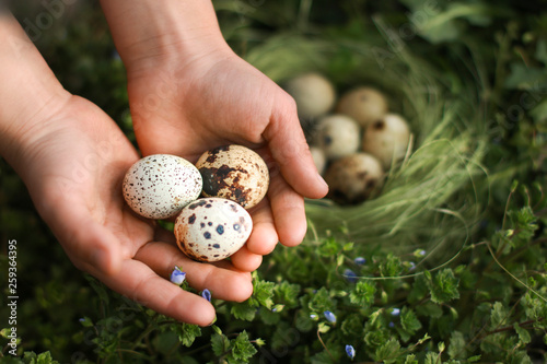 Eggs in the hands. Protection of offspring. Organic food. Wildlife. For Easter