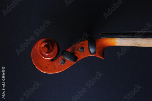 Musical instrument. Violin. Old violin. 